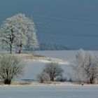 Winterlandschaft Eiskalt