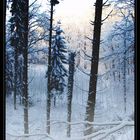 Winterlandschaft "Ellergronn"