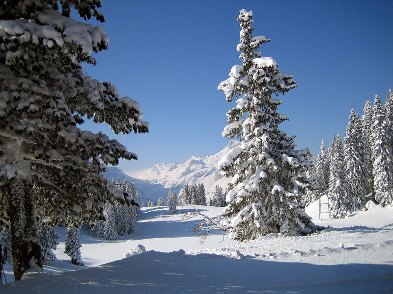 Winterlandschaft