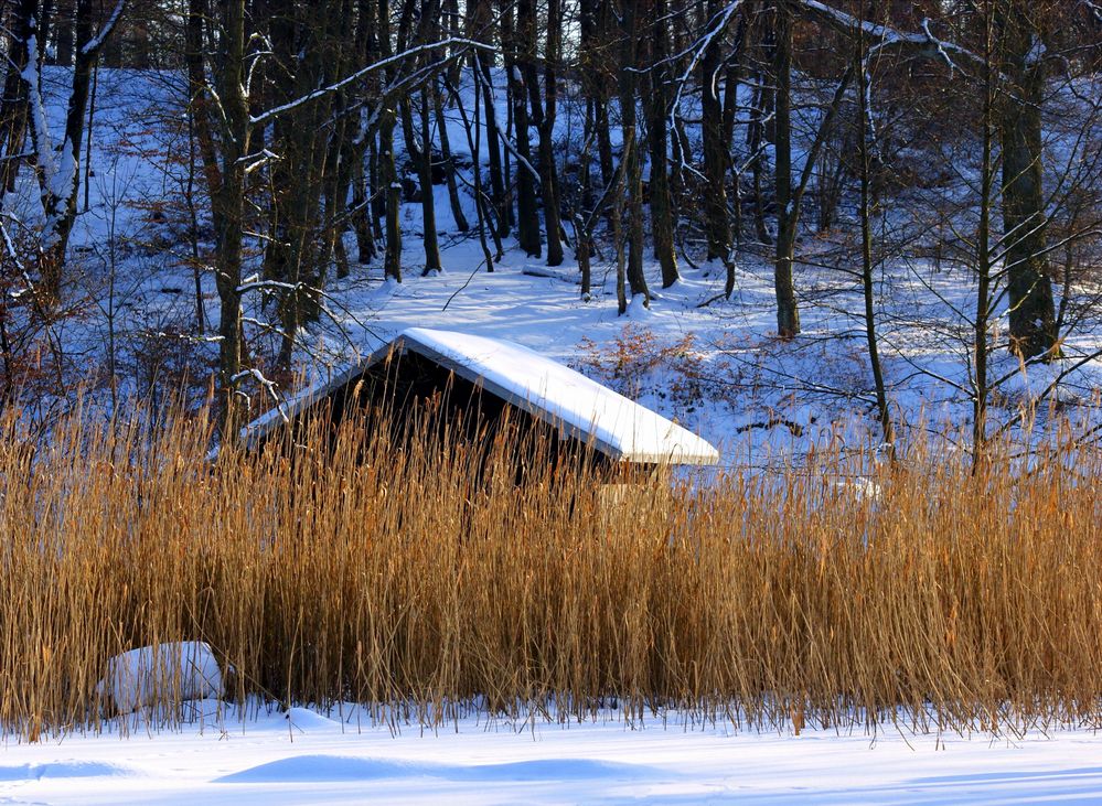 Winterlandschaft