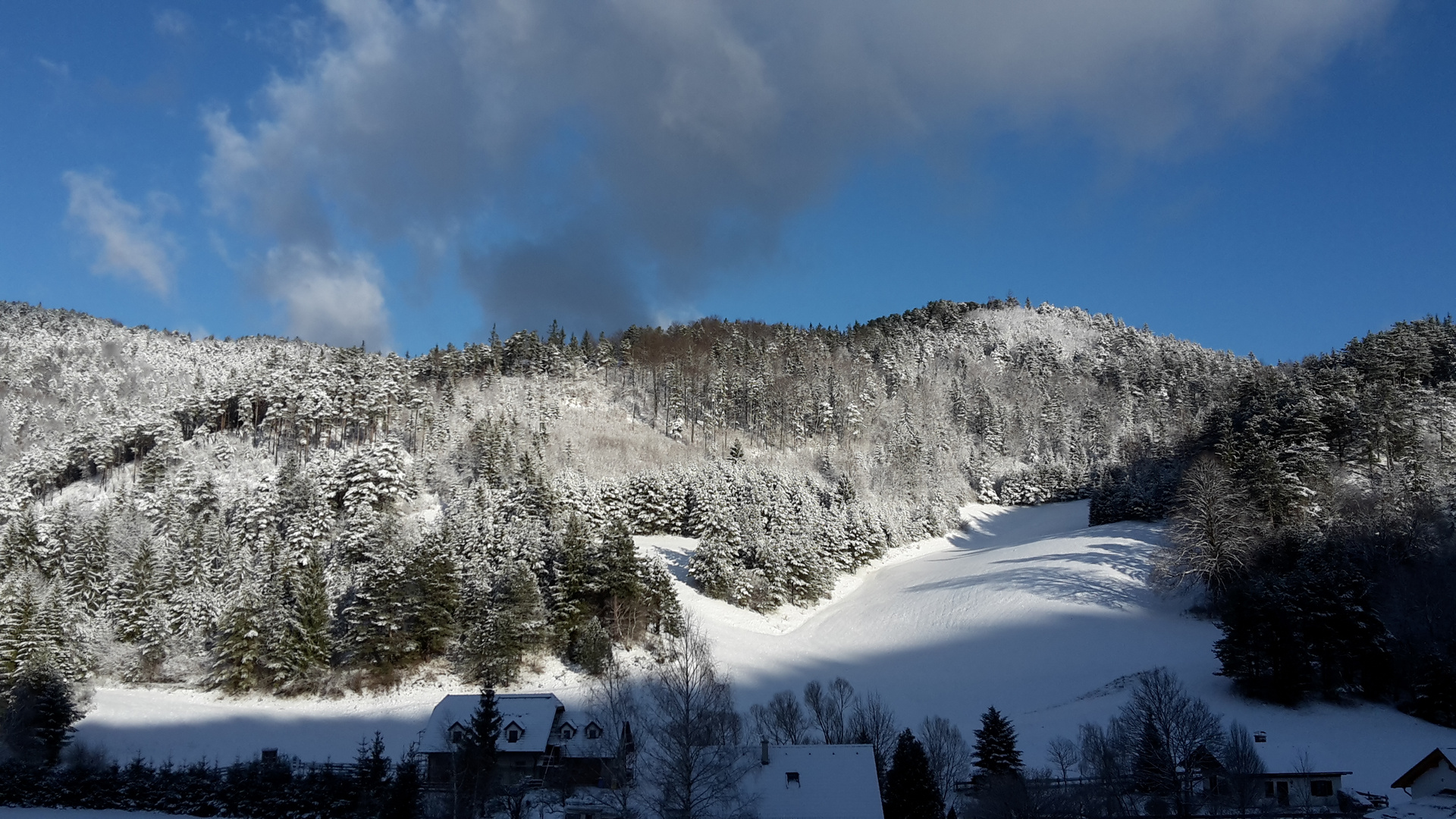 Winterlandschaft 