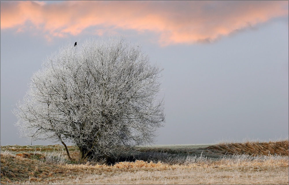 Winterlandschaft