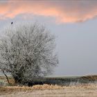 Winterlandschaft