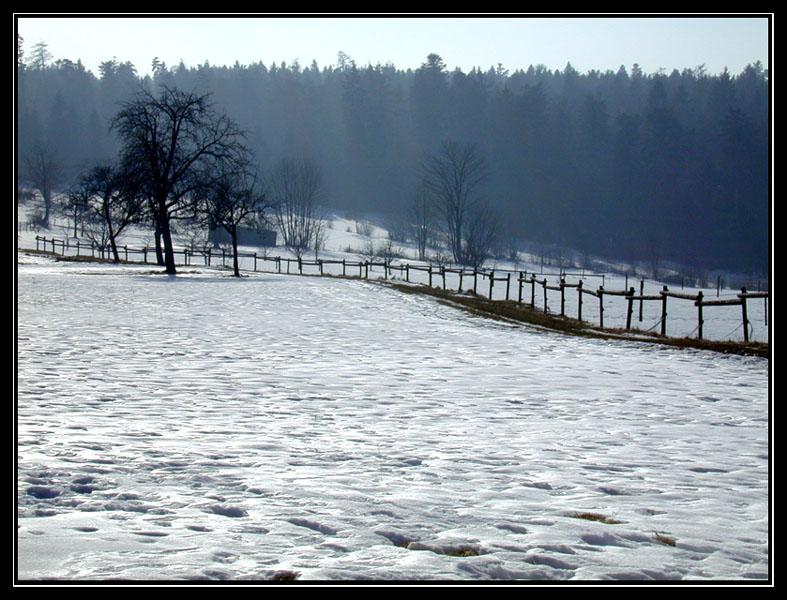 Winterlandschaft