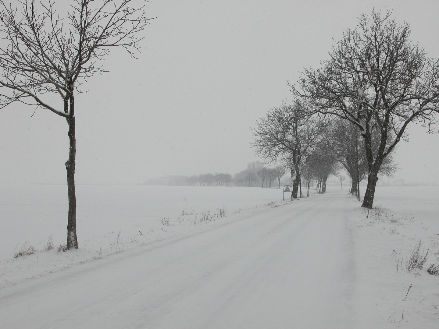 Winterlandschaft