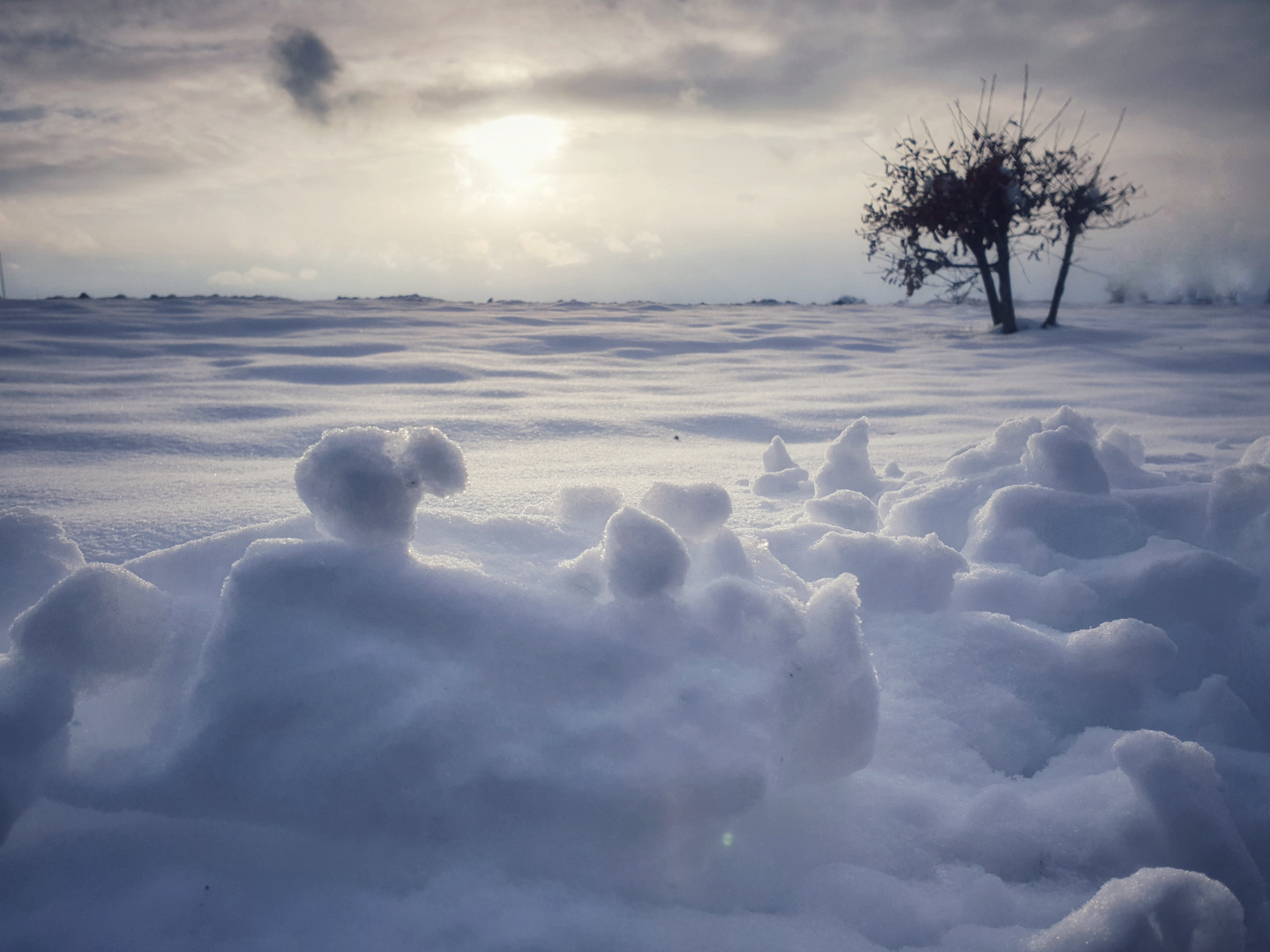 Winterlandschaft