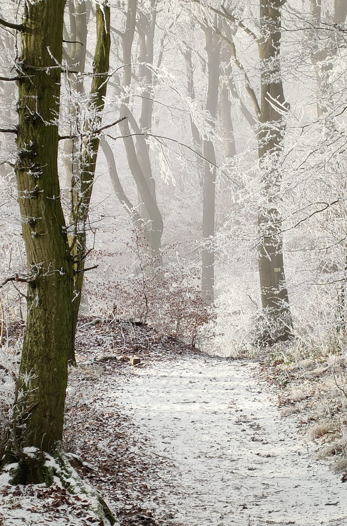 Winterlandschaft