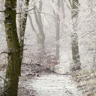 Winterlandschaft