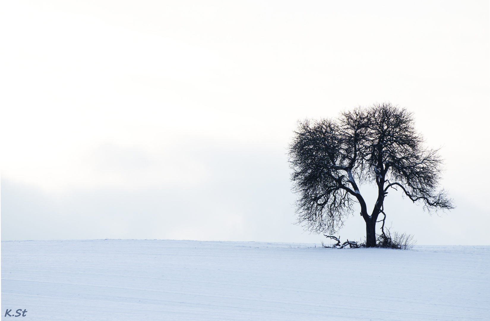 Winterlandschaft