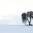 Winterlandschaft