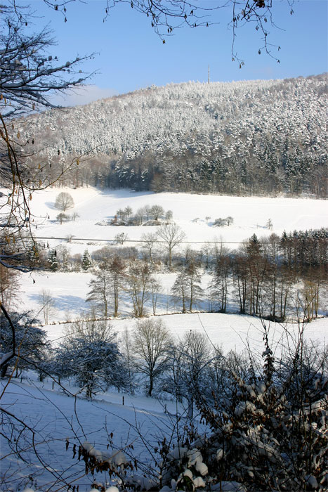 Winterlandschaft