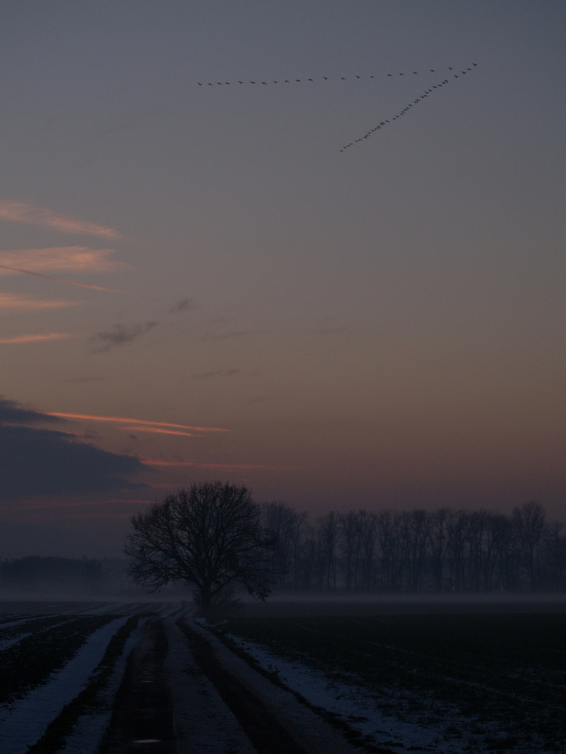 Winterlandschaft