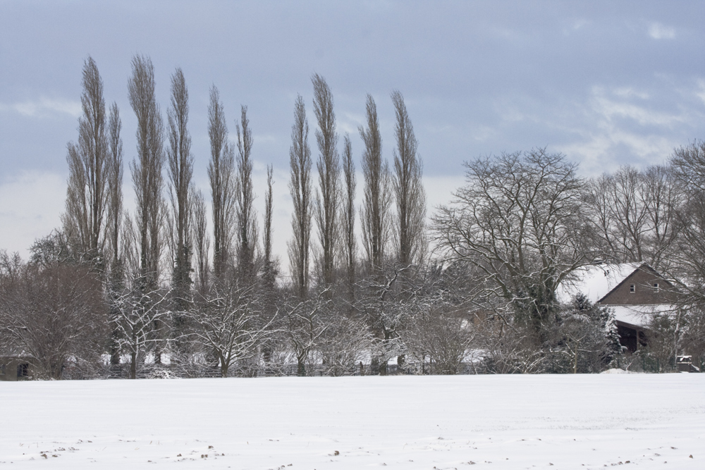 Winterlandschaft