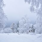 Winterlandschaft