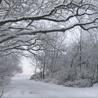 Winterlandschaft