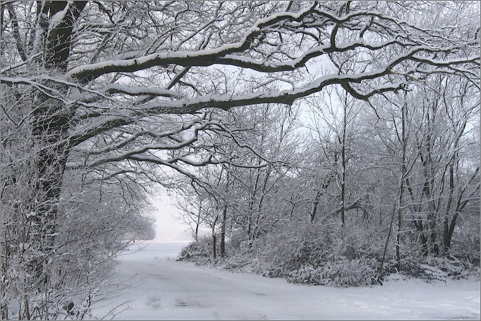 Winterlandschaft by Kurt Hurrle