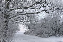 Winterlandschaft