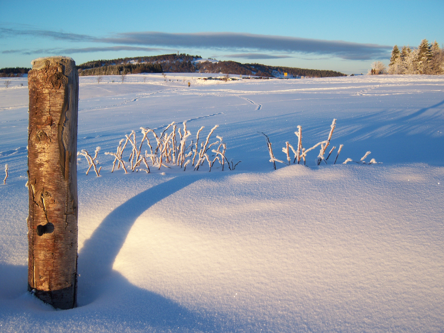 Winterlandschaft