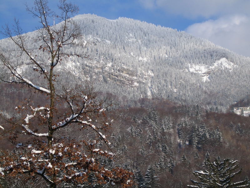 Winterlandschaft