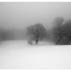 Winterlandschaft