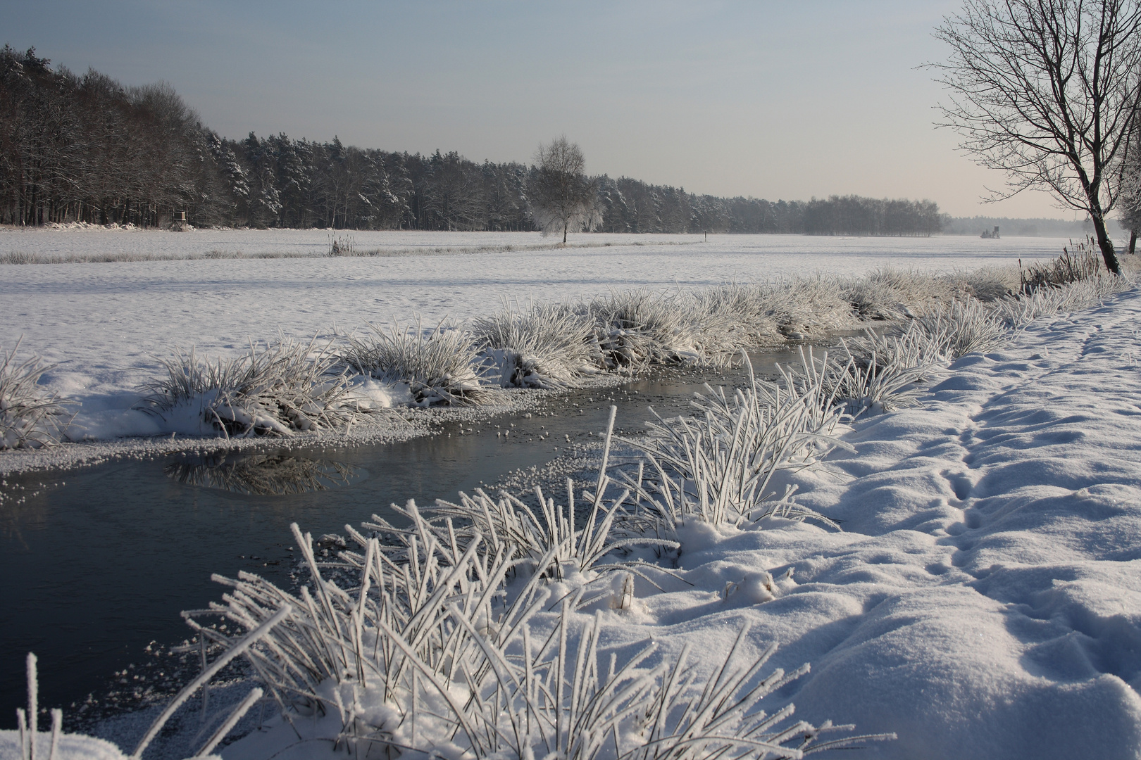 Winterlandschaft