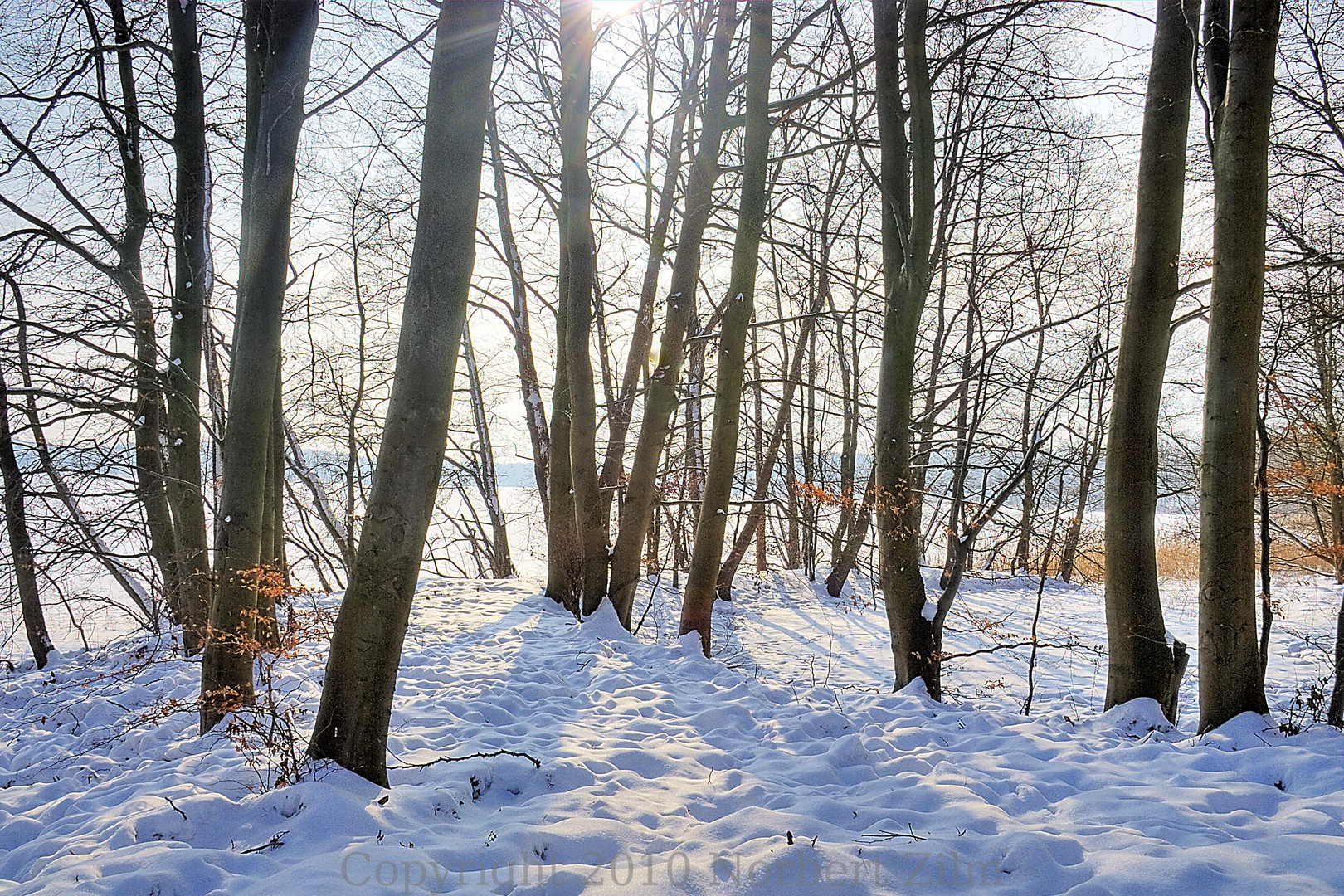 Winterlandschaft