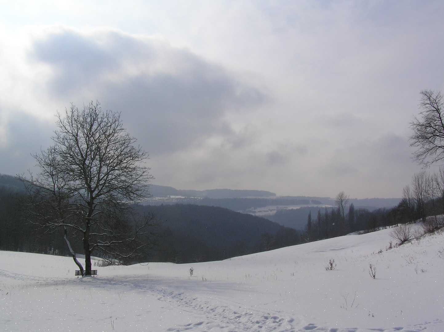 Winterlandschaft