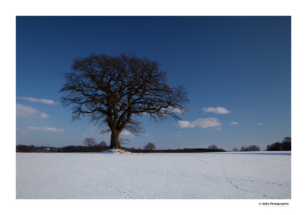 Winterlandschaft