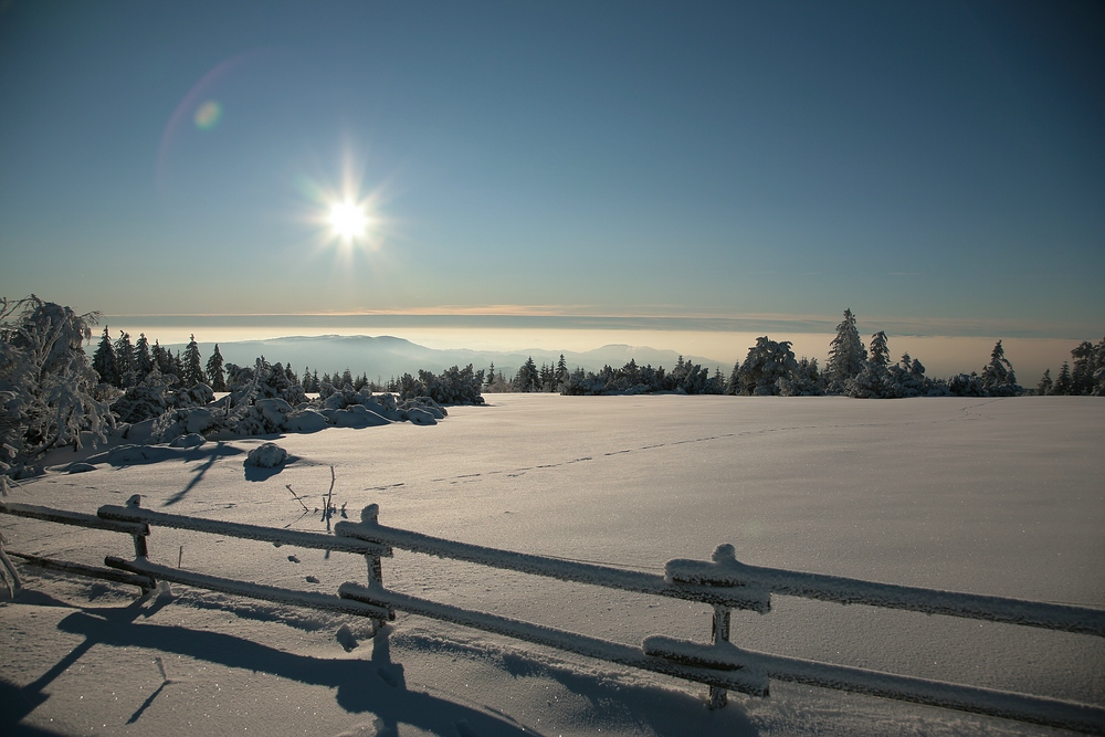 Winterlandschaft...