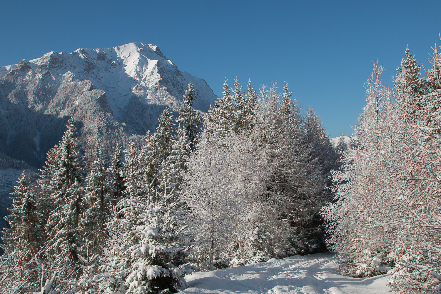 Winterlandschaft