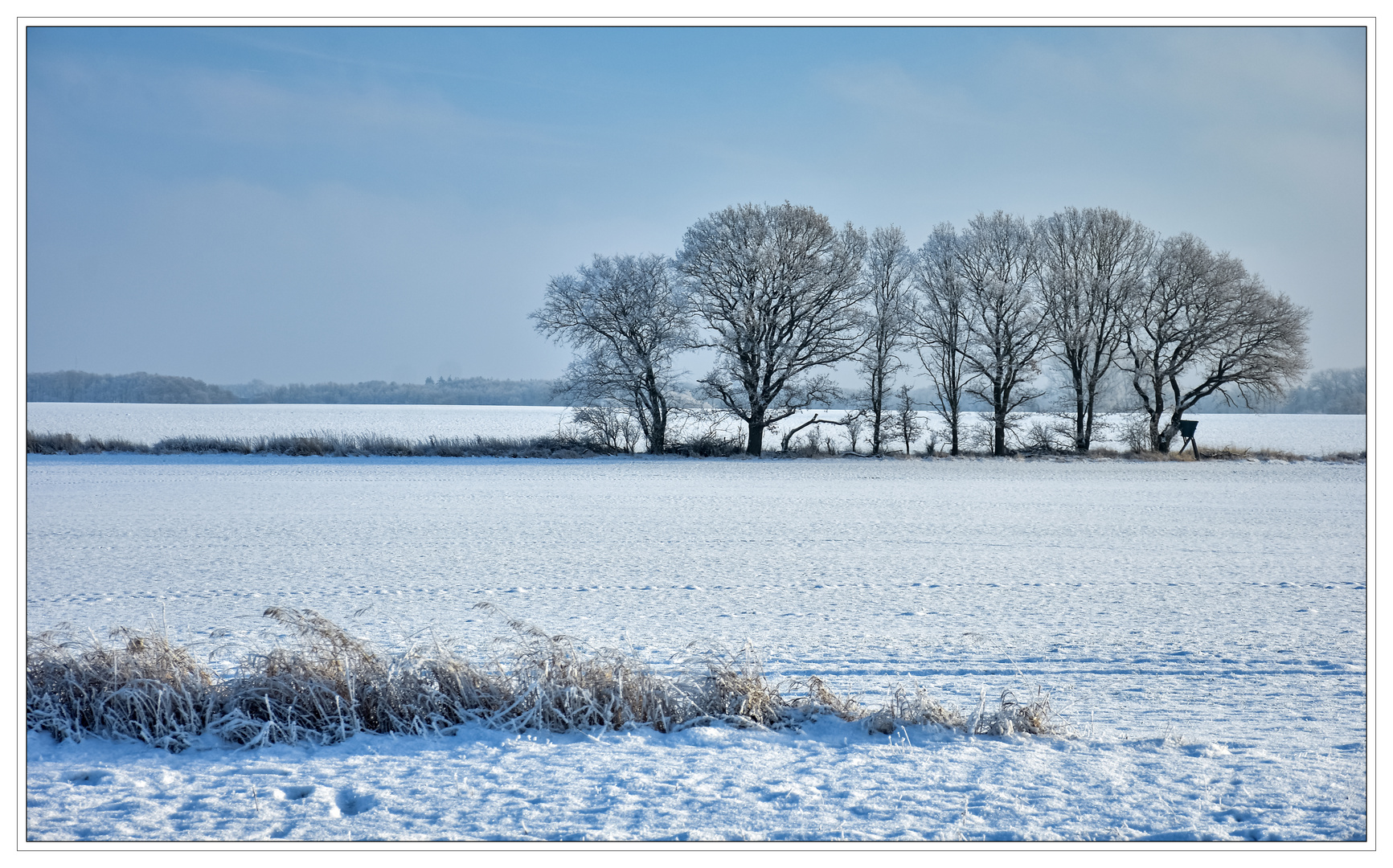 Winterlandschaft