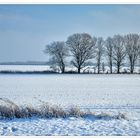 Winterlandschaft