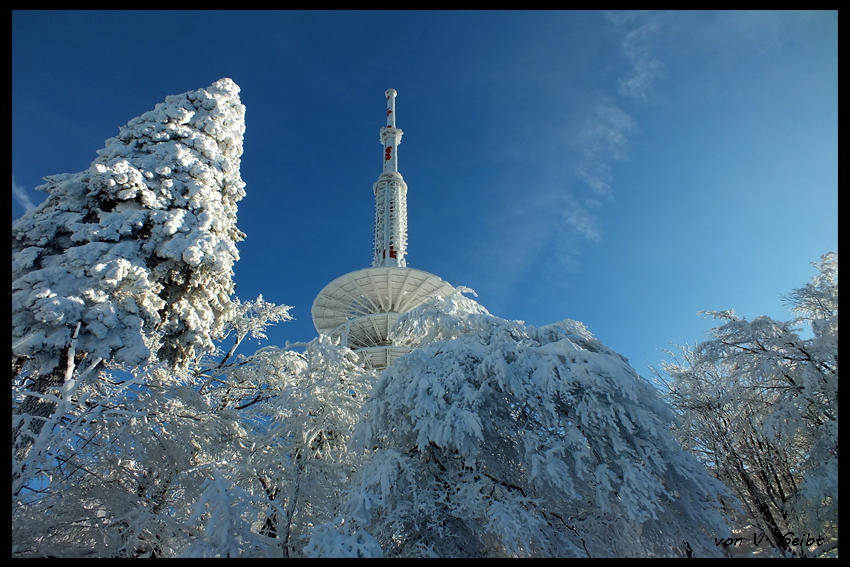 Winterlandschaft