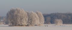 Winterlandschaft