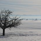 Winterlandschaft