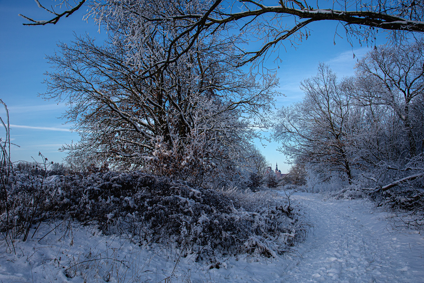 Winterlandschaft