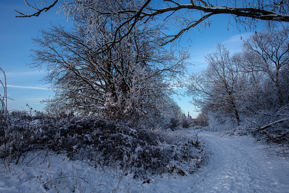 Winterlandschaft