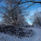 Winterlandschaft