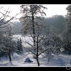 Winterlandschaft