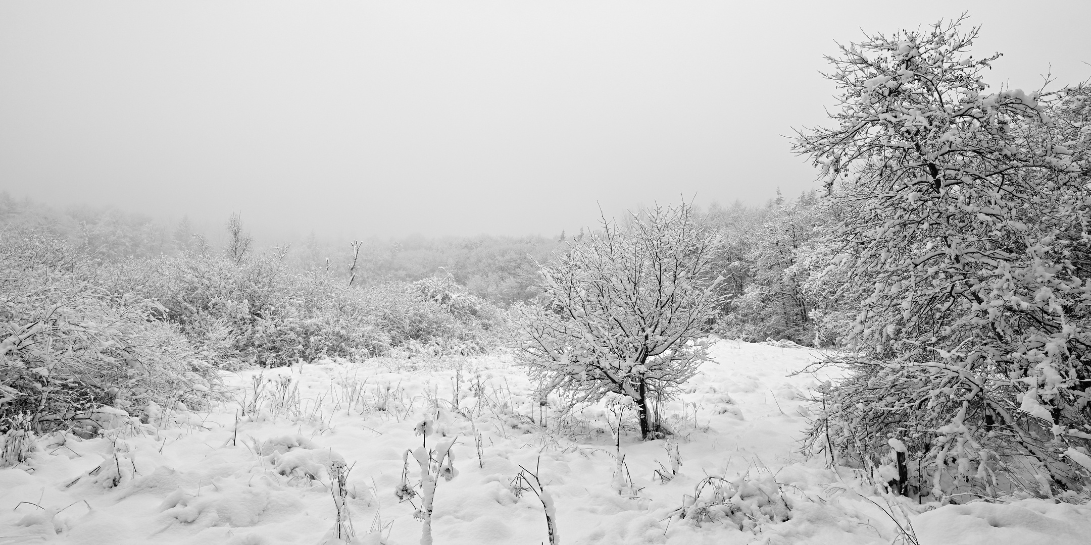 Winterlandschaft