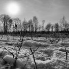 Winterlandschaft