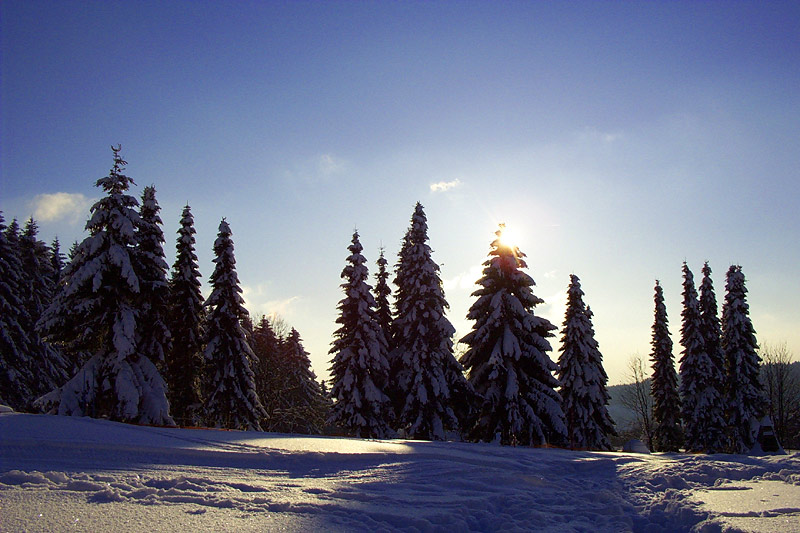 Winterlandschaft