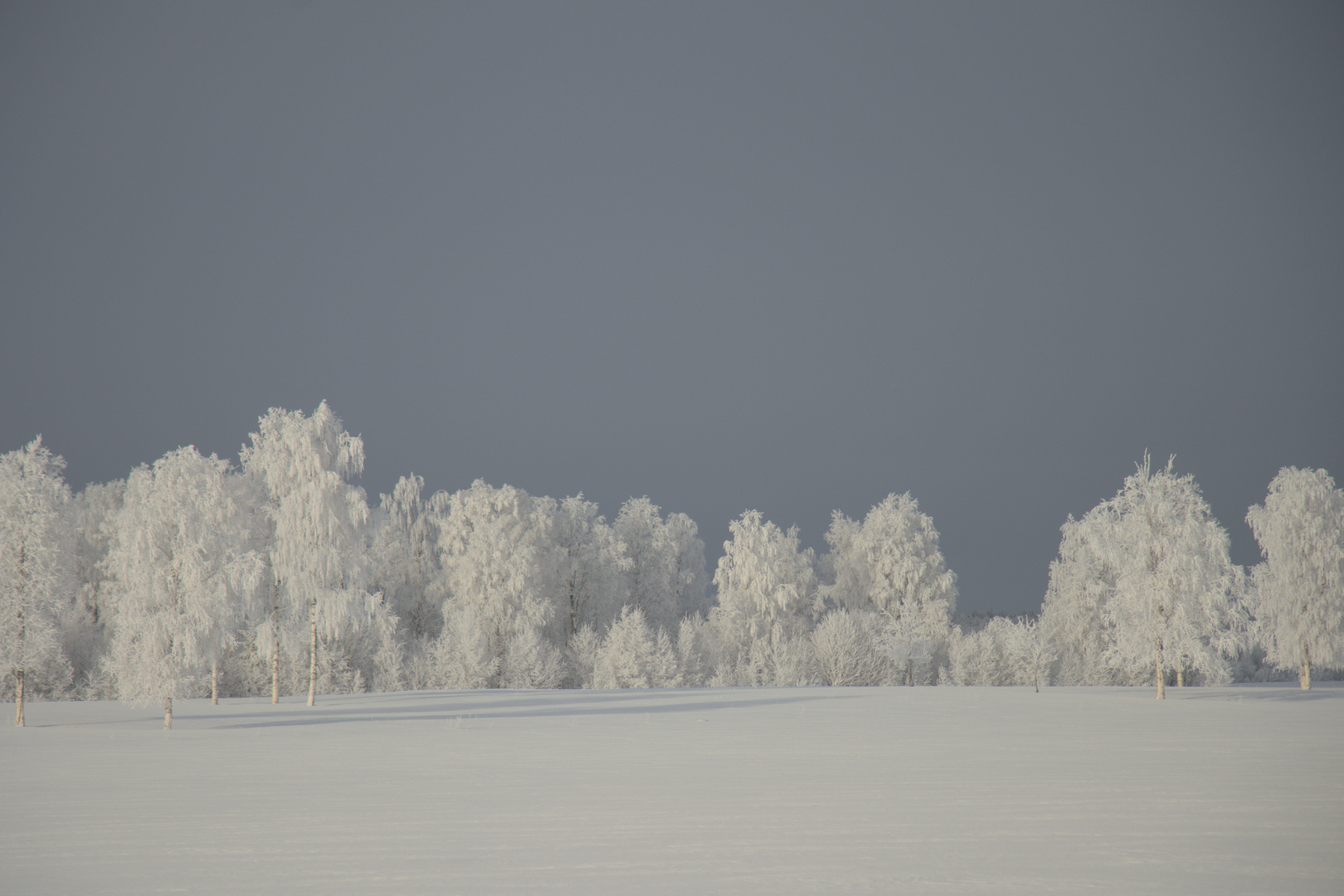 Winterlandschaft