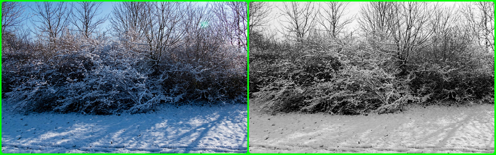 Winterlandschaft-farblich und schwarz-weiß