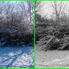 Winterlandschaft-farblich und schwarz-weiß