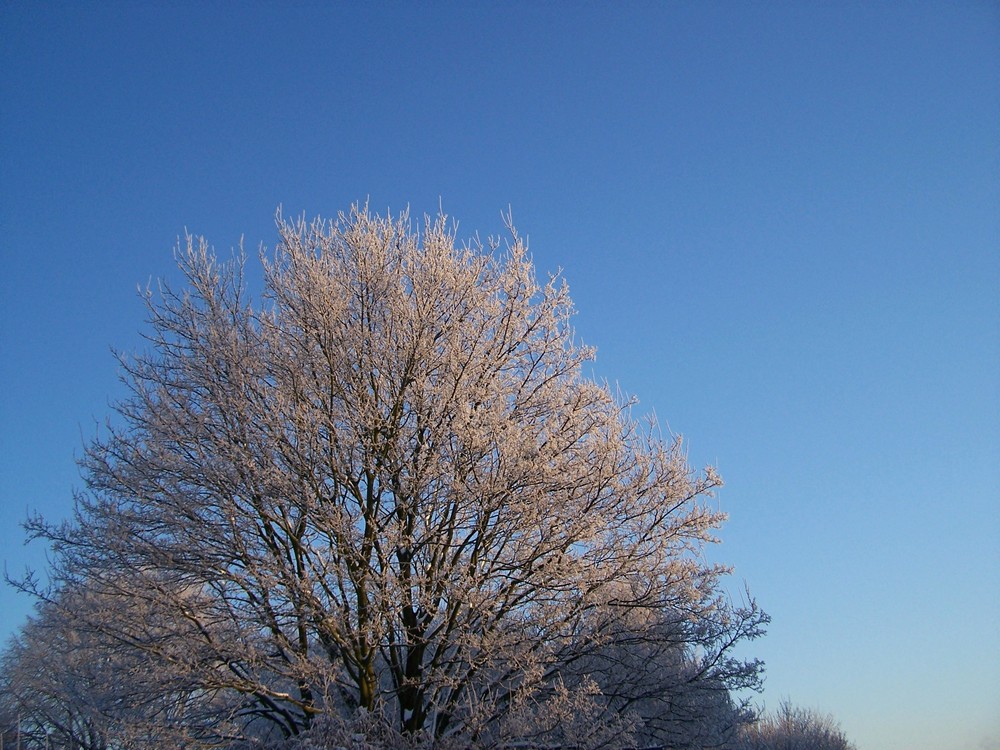 Winterlandschaft...........