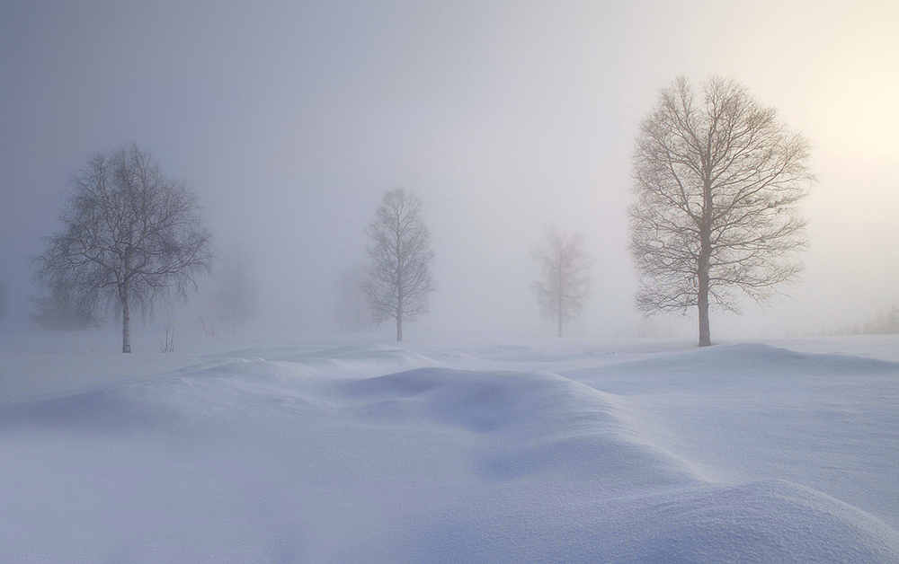 Winterlandschaft von Günter Hohensträter 