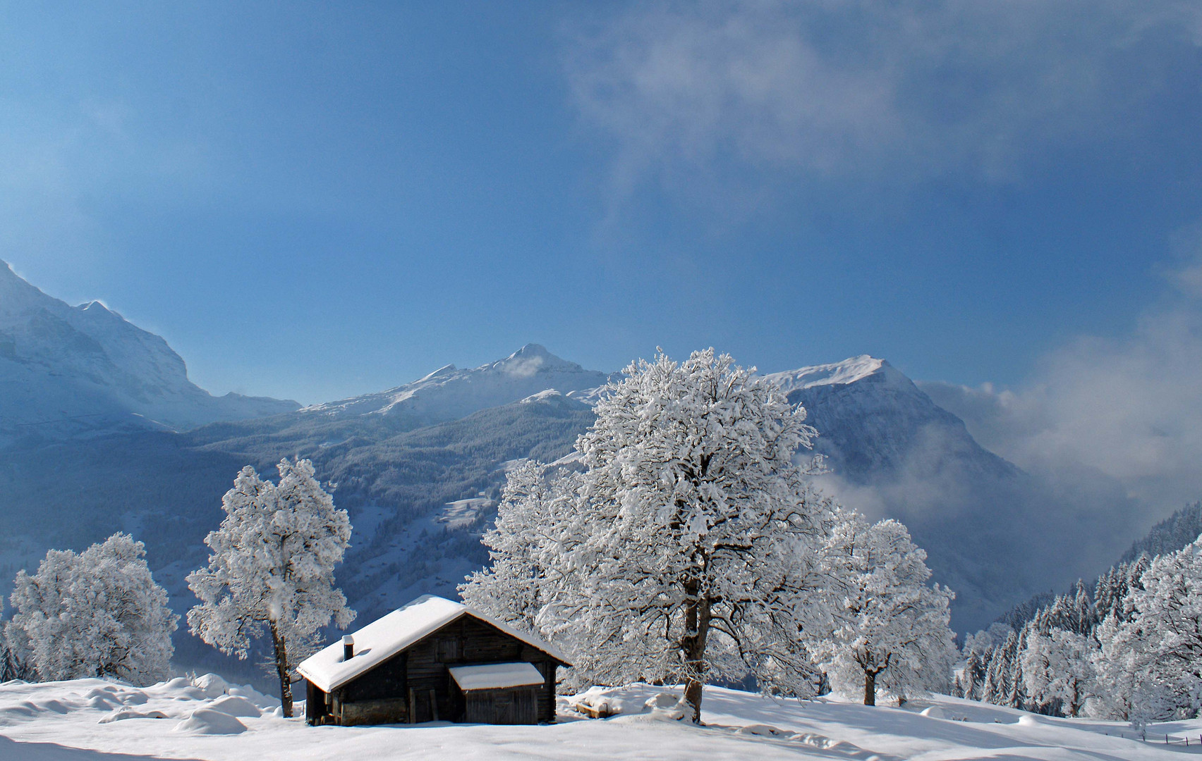 winterlandschaft