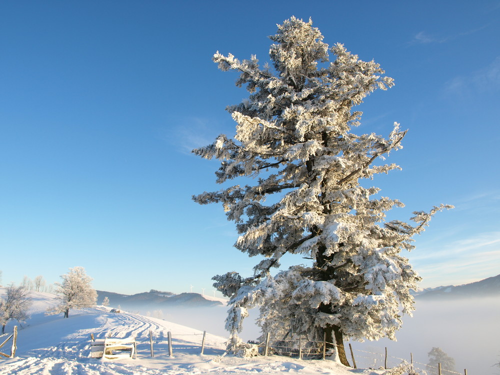 Winterlandschaft