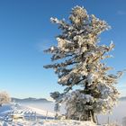 Winterlandschaft